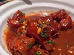 -大鸭梨烤鸭店(花园村店)
