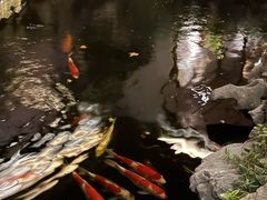-鲤院·新中式美学·庭院餐厅(夫子庙店)