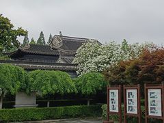 -梅园