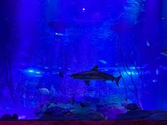 -沈阳海洋探索中心