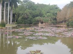 -中国科学院西双版纳热带植物园