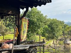 -塔川景区