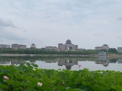 -莲花池公园