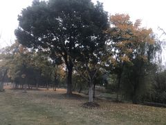 -梁鸿国家湿地公园