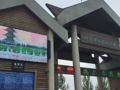 -呼兰河口湿地公园