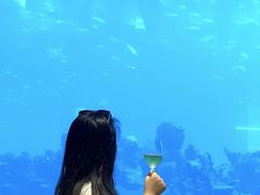 -海棠湾洲际-涛·海底餐厅·美人鱼·自助餐·海底隧道