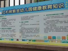 -红杉树紫金幼儿园