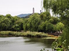 -北坞公园