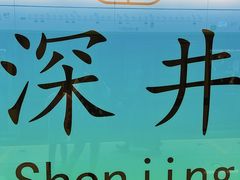 -姚林轩
