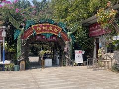 -独树成林