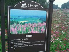 -保利石象湖景区