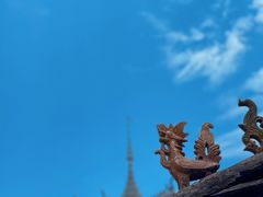 -西双版纳傣族园