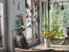 -海边的猫和咖啡馆