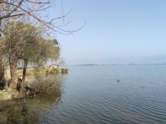 -西昌邛海湿地