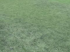 -网动网球培训(北京友谊宾馆校区)