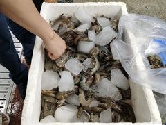 -渔人湾码头海鲜市场负二楼