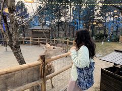 -茅山东方盐湖城景区