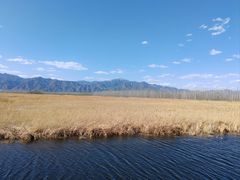 -野鸭湖国家湿地公园