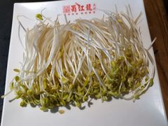 井水豆芽-蜀江龙火锅(339店)