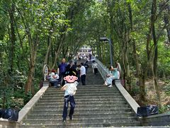 -成都老君山