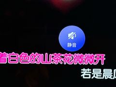 -星歌汇PARTY KTV•观澜兴万达店
