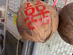 -洪馨椰子