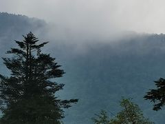 -峨眉山报国寺