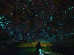 -怀托摩萤火虫洞