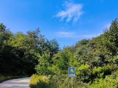 -北京西山国家森林公园