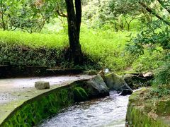 -红山村