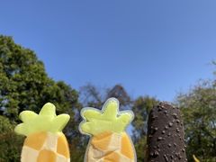 -广州市白云山风景名胜区