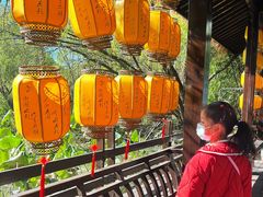 -长兴太湖图影湿地文化园
