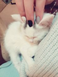 -尚美日式美甲美睫工作室