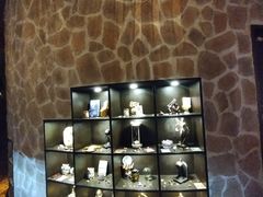 -雪灵魔法世界SHELLY’S TAROT(大良桂畔里店)