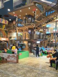 -卡通尼·Safari非洲探索乐园·生日会(金桥国际商业广场店)