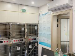 -博特宠物医院24h犬猫全科.骨科·异宠