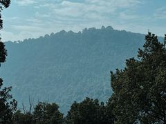 -铁山坪森林公园