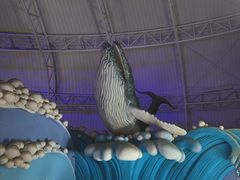 -烟台海昌鲸鲨海洋公园