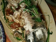-天门沟九州驿站树上汤泉