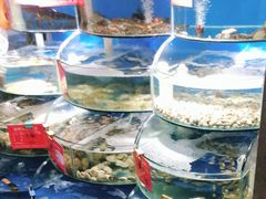 水产区-海之味海鲜大咖·家常菜