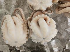 -铭聚章鱼土笋冻(松柏店)