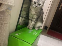 -瑞派·关忠动物医院(国瑞店)