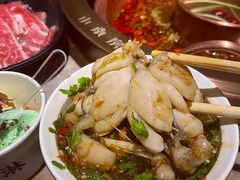 -小南房鲜美蛙火锅(北苑店)
