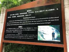 -王顺山国家森林公园