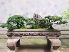 -胡雪岩故居