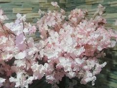 -桃屋日本料理(清华科技园店)