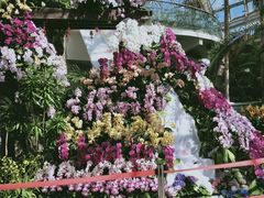 -国家植物园南园