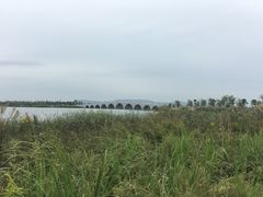 -南湖湿地公园