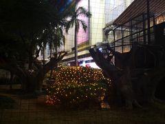 -宝龙广场(福州台江店)