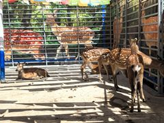 -扁都口生态休闲旅游区